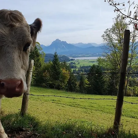 Alpenblick 12, Erholung Pur Im Allgaeu Apartament *