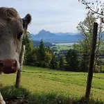 Alpenblick 12, Erholung Pur Im Allgaeu דירה *
