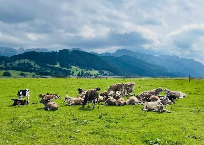 Alpenblick 12, Erholung Pur Im Allgaeu 公寓 *