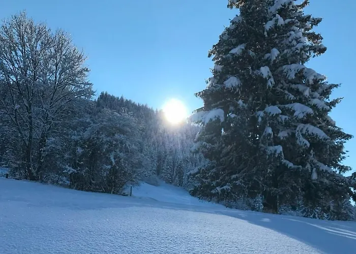 Alpenblick 12, Erholung Pur Im Allgaeu 公寓 *
